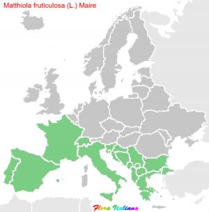 Matthiola fruticulosa (L.) Maire